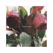 RES168 – RECOVERY ROOM Wallflower